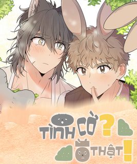 comic-banner