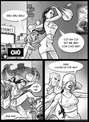 Chó