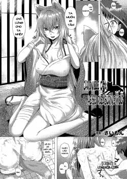Chronicle Of A Heisei Pleasuring Wolf