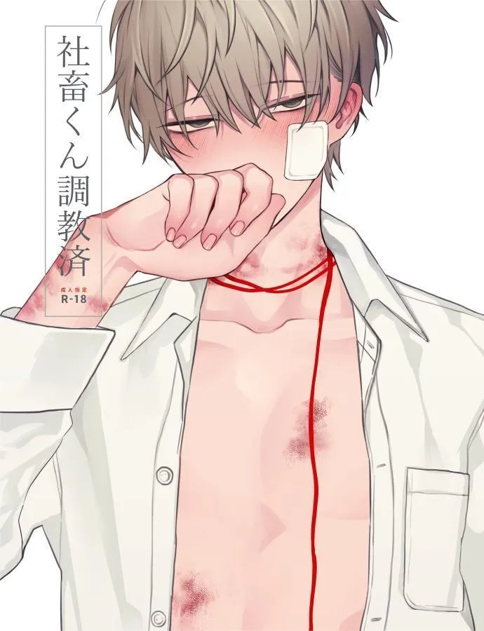 Fully Disciplined Corporate Drone