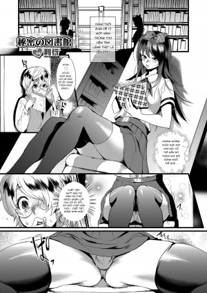 Himitsu No Toshokan