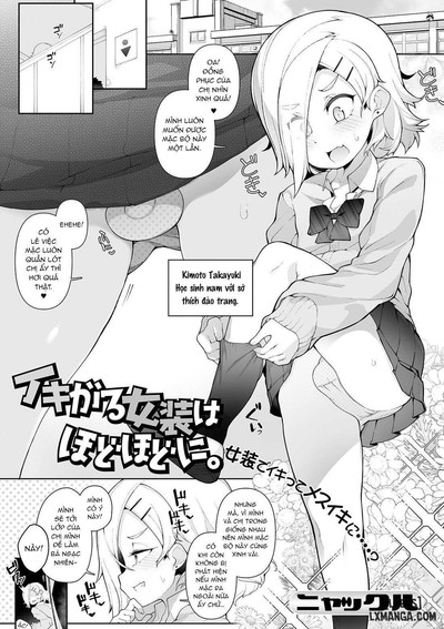 Ikigaru Josou Wa Hodohodo Ni