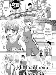 Khi Hoa Hướng Dương Nở [Himawari No Saku Koro Ni, When The Sunflowers Bloom]