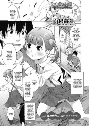 Koneko No Tsubomi