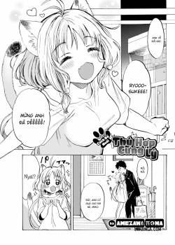 The Proper Way To Treat Your Pet