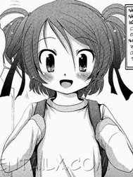 The Story Of The Misaki Family