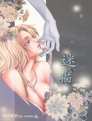 Tiểu Miêu Đi Lạc (Bleach)